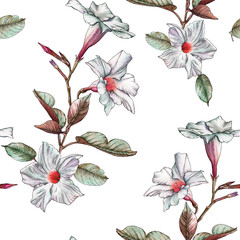 Floral seamless pattern with watercolor white flowers