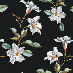 Floral seamless pattern with watercolor white flowers