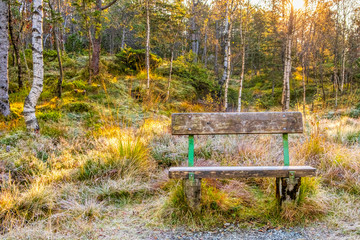 Park bench on a frosty sunny autumn morning with yellowed grass covered with hoarfrost