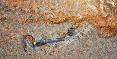 Ancient iron key, the sea washed up on the sand.