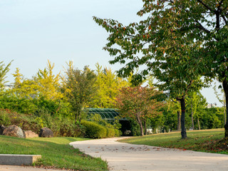 path in the park