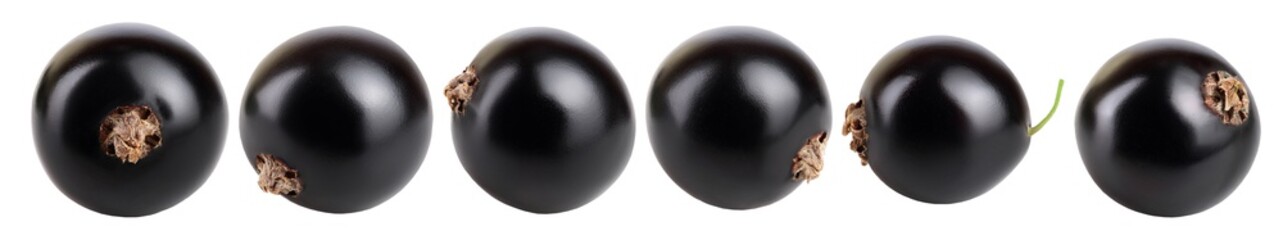 Set or collection black currant isolated on white background