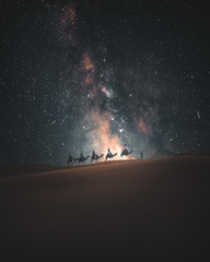 ride in the marocco desert at night