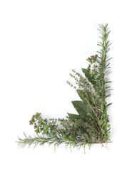 Angle décoratif  d'herbes aromatiques isolé sur un fond blanc.