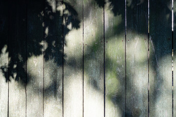 Wooden fence of light old boards with remnants of old green paint. Fastened with nails. Vertical stripes. shade of a tree and leaves on the fence. Texture background. Horizontal orientation