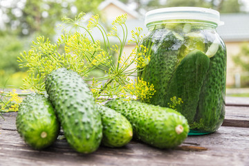 Fresh-salted cucumbers