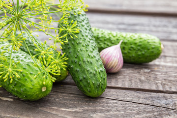 Fresh cucumbers, dill and garlic