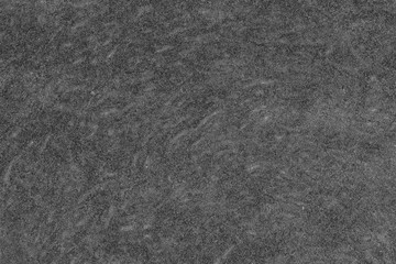 Pumpkin cut in half with the texture of pulp. Pumpkin slices background closeup, top view. Black and white