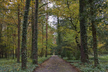 Wilmersdorfer Waldfriedhof in Stahnsdorf (Land Brandenburg)