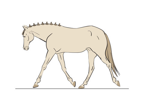 White horse in cartoon style. Use it for card, poster or web page design creating. Vector illustration.