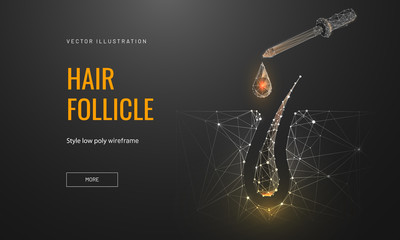 Hair roots treatment low poly landing page template