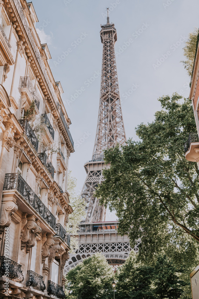 Wall mural paris eiffel tower in paris, france. eiffel tower is one of the most iconic landmarks in paris.
