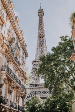 Paris Eiffel Tower in Paris, France. Eiffel Tower is one of the most iconic landmarks in Paris.