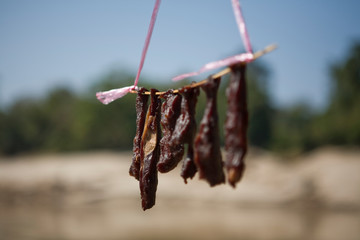 Dried beef Mekong river boat Laos