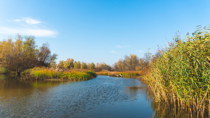 Fototapeta na wymiar the late autumn river landscape