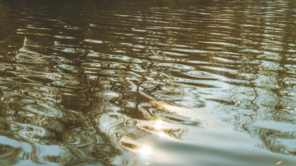 the late autumn river landscape