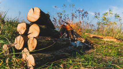 burning campfire close-up