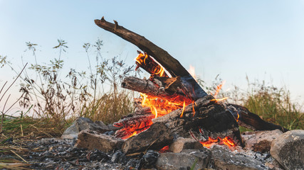burning campfire close-up