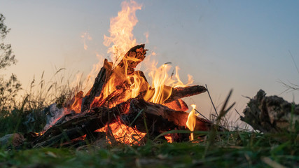 burning campfire close-up