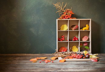 autumn background with leaves and berries