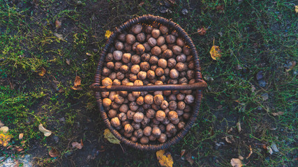 basket with nuts close up