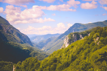 Fototapeta premium green mountains