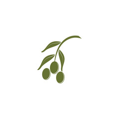 Olive logo template vector icon illustration