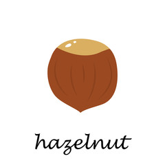 Hazelnut on white background in cartoon style.