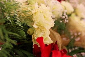 Beautiful flower poems, flowers splendor