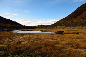 This is a picture of a Japanese pond and mountain