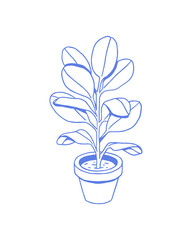 Ficus - hand drawn houseplant in a pot on a white background. Vector image.