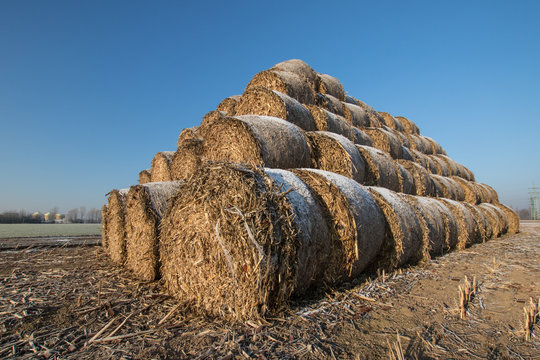 frozen heystack