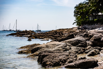 beach and sea