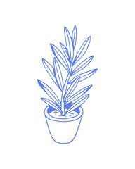 Hand drawn houseplant in a pot isolated on a white background. Vector image.