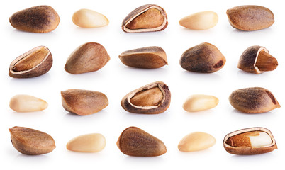 Cedar pine nuts  isolated on white background.