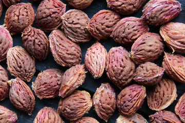 Peach bones on the table. Harvest Concept.