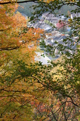 View on the town through the autumn foliage