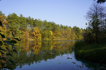 Fototapeta na wymiar Lake in the autumn forest. Forest lake in the autumn forest. Autumn landscape with a lake and forest.