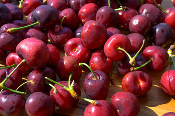 Cherries fresh oganice from farm on wooden with morning light shine one background.