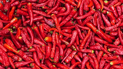 Garden poster Hot chili peppers Close up group of red hot chilli peppers  pattern texture backgr