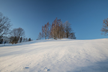 Winter land covered with snow