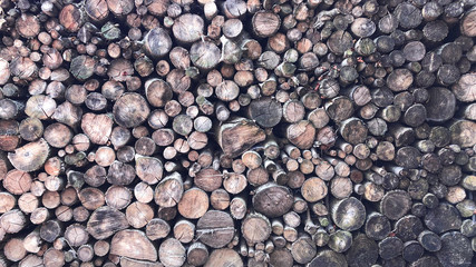 Firewood for heating, bonfires, fireplaces. Background from sawn tree trunks. Wood texture. Village blanks.