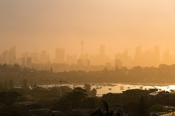 Obraz na płótnie Canvas Foggy Sydney skyline under the warm sunlight.
