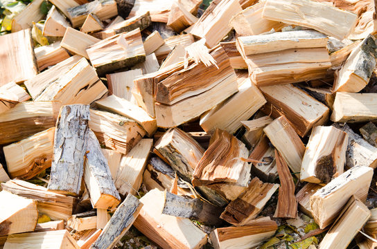 lots of freshly cut fruit tree firewood close-up. Background