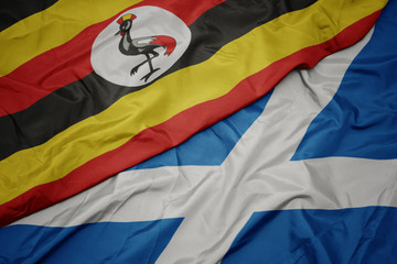 waving colorful flag of scotland and national flag of uganda.
