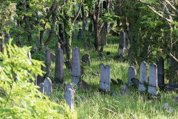 Naklejka premium Jewish cemetery in Mikulov