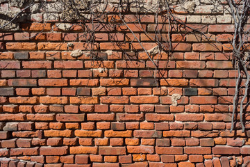 Old red brick wall texture Background.