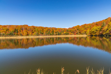 Towada Hachimantai National Park in autumn