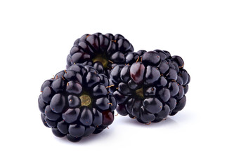 Blackberries  Isolated on White Background. Macro.