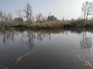 Carska bara national wildlife reserve Zrenjanin Serbia lake canal
